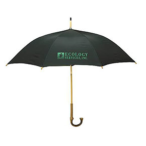 Unique Green Promotional Product - Eco-Umbrella